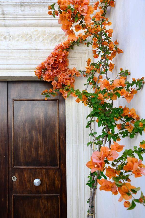 Il Giardino Bed & Breakfast Grottaglie Exterior foto